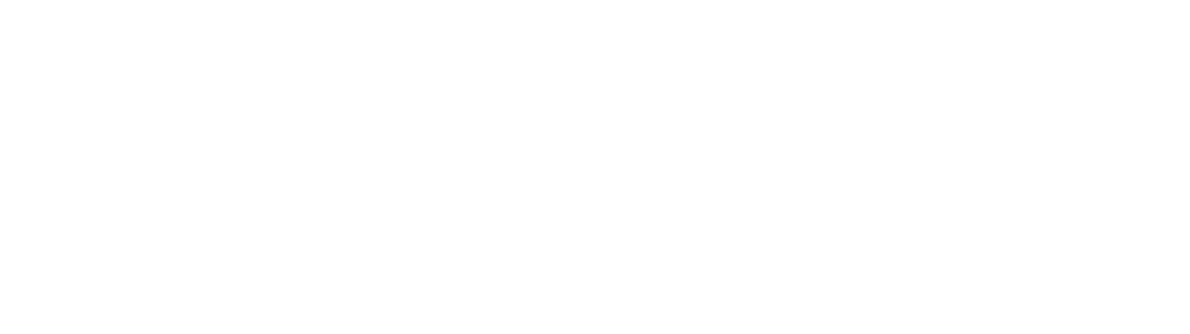 Logo partnera: CAMERAL MUSIC
